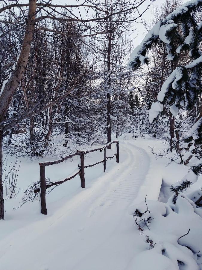 Bakkakot 2 - Cozy Cabins In The Woods Akureyri Ngoại thất bức ảnh