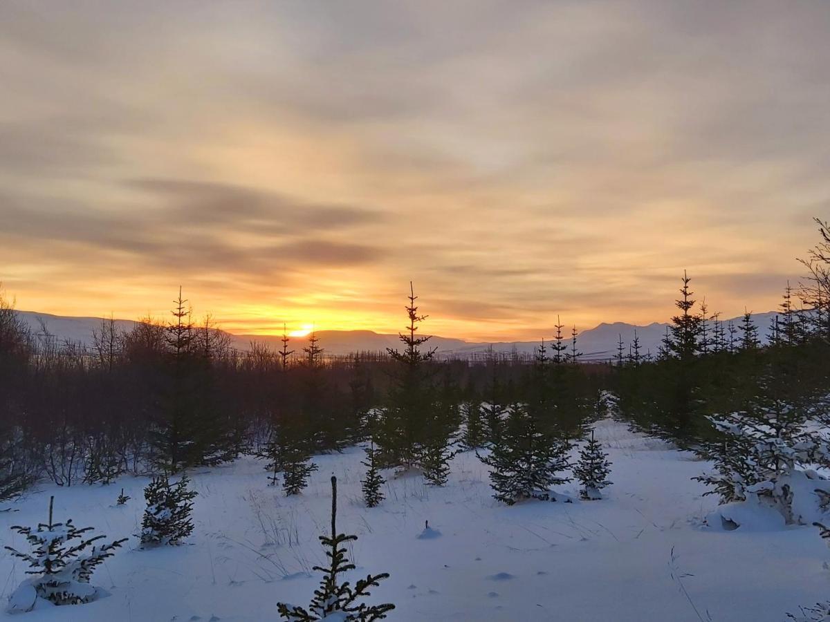 Bakkakot 2 - Cozy Cabins In The Woods Akureyri Ngoại thất bức ảnh