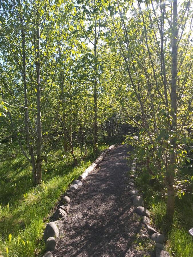 Bakkakot 2 - Cozy Cabins In The Woods Akureyri Ngoại thất bức ảnh