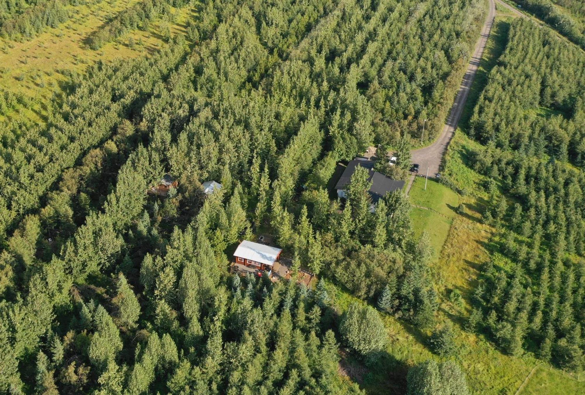 Bakkakot 2 - Cozy Cabins In The Woods Akureyri Ngoại thất bức ảnh