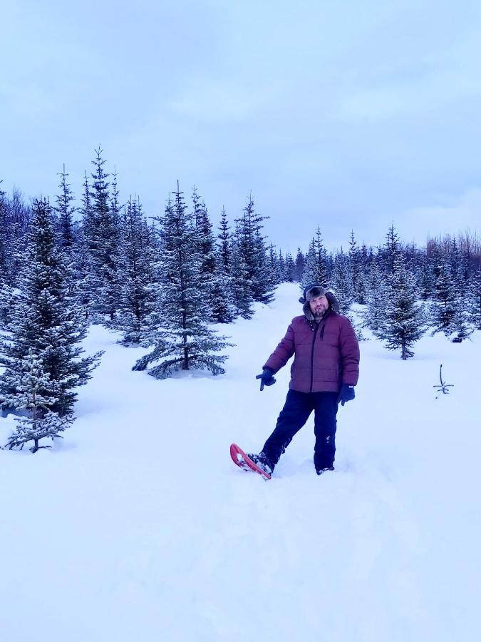Bakkakot 2 - Cozy Cabins In The Woods Akureyri Ngoại thất bức ảnh
